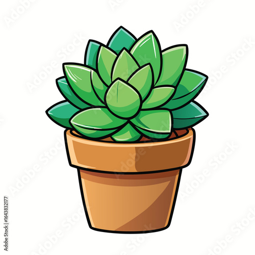 Green succulent plant in terracotta pot vector illustration
