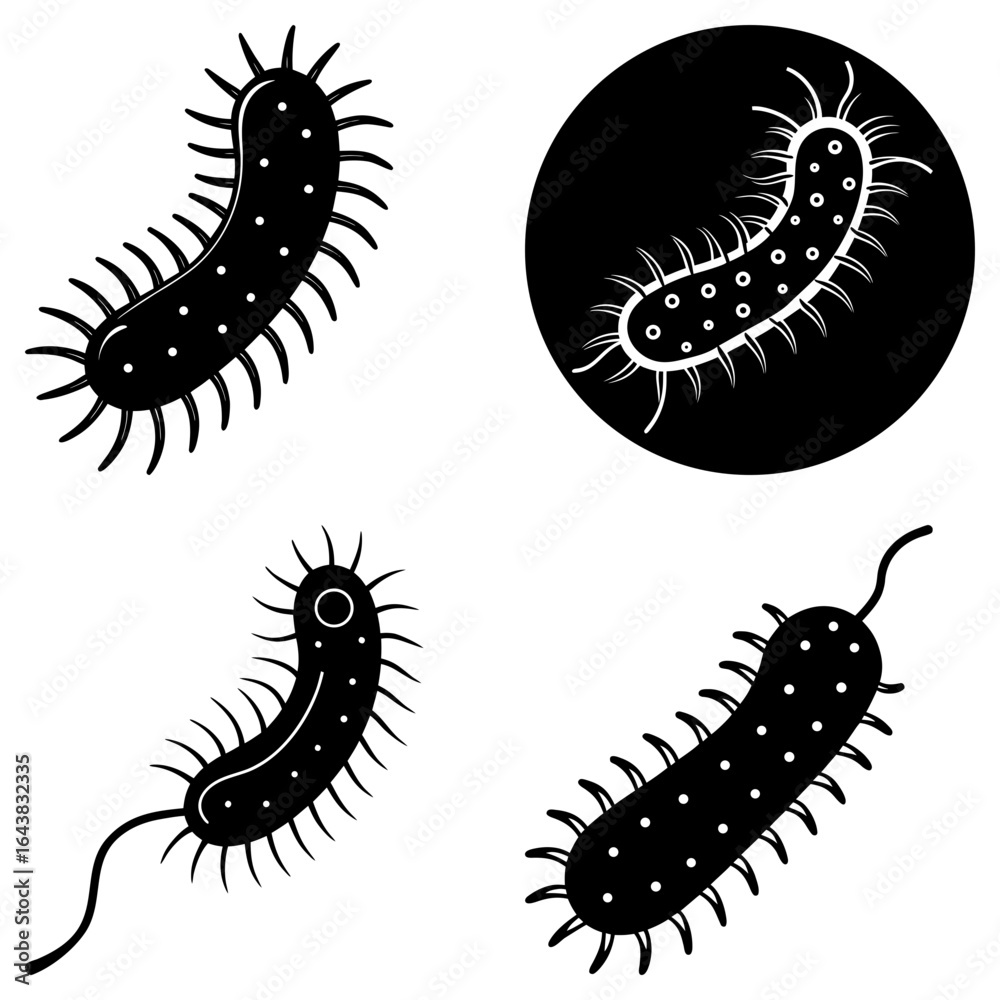 Fototapeta premium Illustration of various black and white bacteria cells with flagella and pili in different orientations