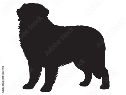  BERNESE MOUNTAIN DOG SILHOUETTE 