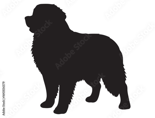  BERNESE MOUNTAIN DOG SILHOUETTE 