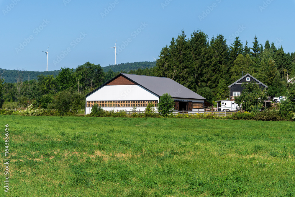 Fototapeta premium A horse training facility with wind turbines in the background