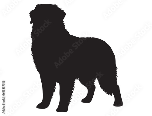  BERNESE MOUNTAIN DOG SILHOUETTE 