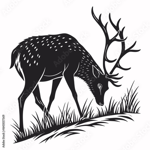 deer in the forest