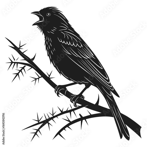 crow on a branch