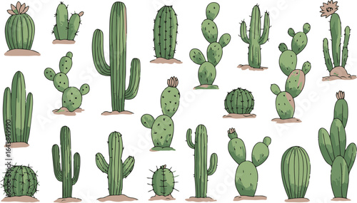 Hand drawn collection of various desert cactus plants isolated on white background