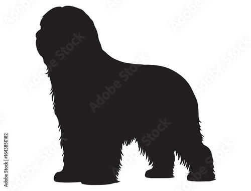 BRIARD DOG SILHOUETTE