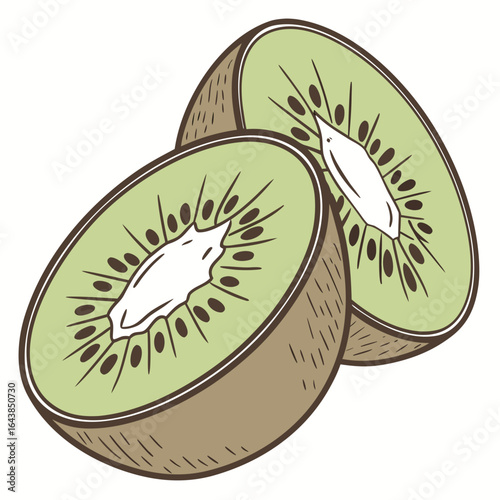 Illustration of two sliced kiwifruits, showing their seeds and green insides