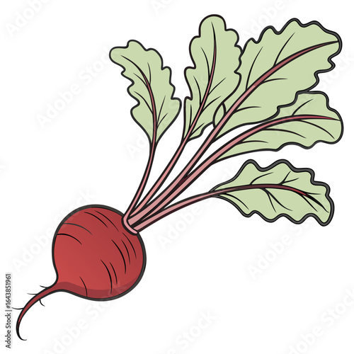 Cartoon illustration of a vibrant red beet with green leaves and stem