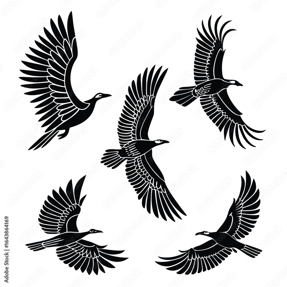 Obraz premium Black birds in flight flying wings