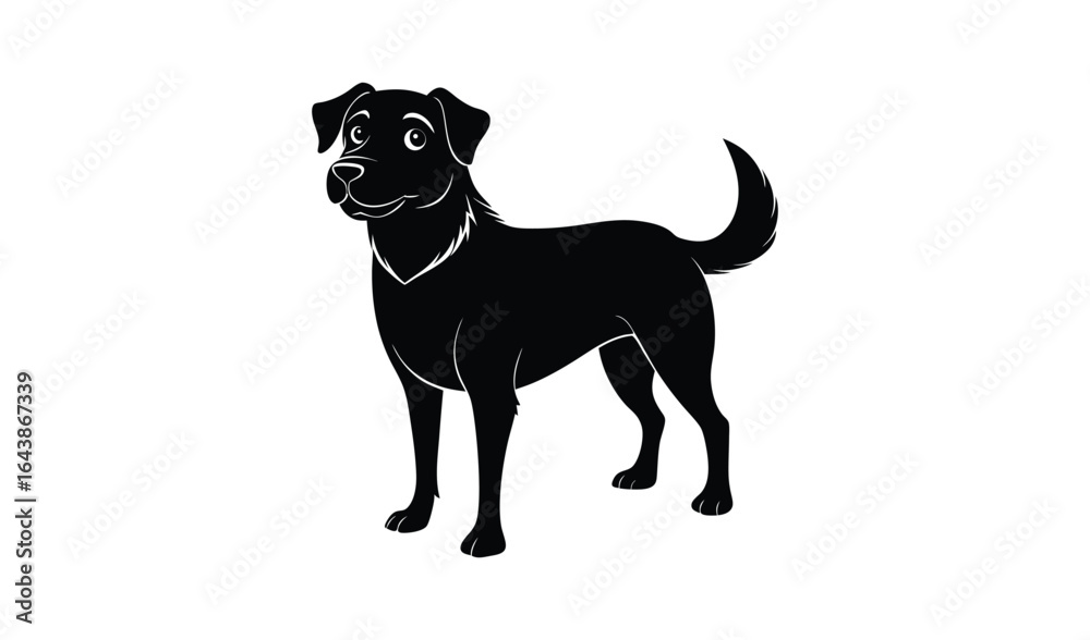Fototapeta premium Black labrador retriever dog standing on a white background