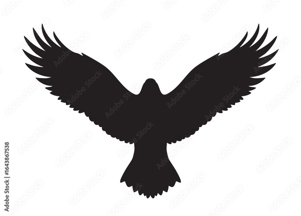 Fototapeta premium Silhouette of an eagle in flight with spread wings vector illustration