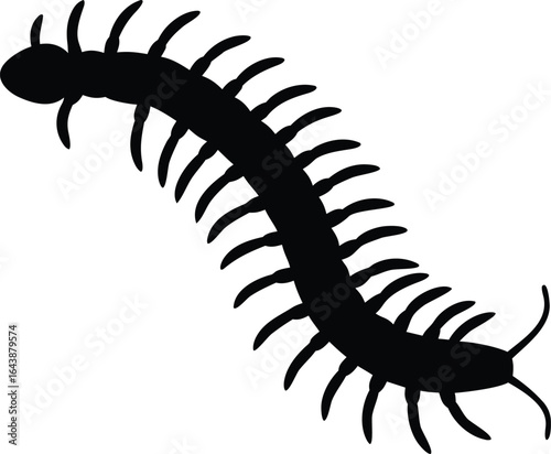 Foto Centipede vector silhouette, centipede black icon