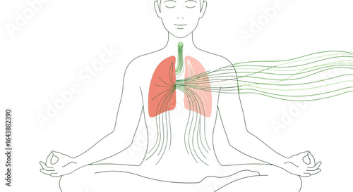 Vagus nerve stimulation for mindful breathing and meditation