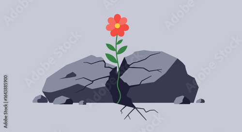 A flower growing through a crack in a rock, symbolizing resilience.