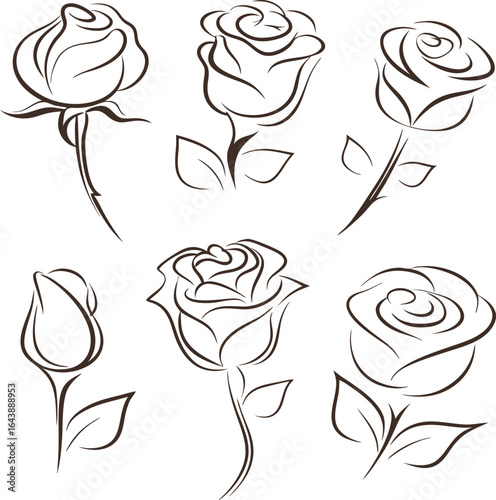 Elegant Rose Collection Sketch Floral Design Vector Illustration Artwork
