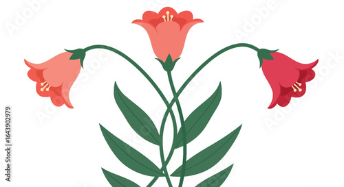 Vector floral design with red and pink bell shaped flowers art