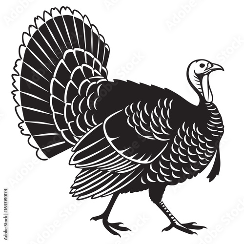turkey vector illustration