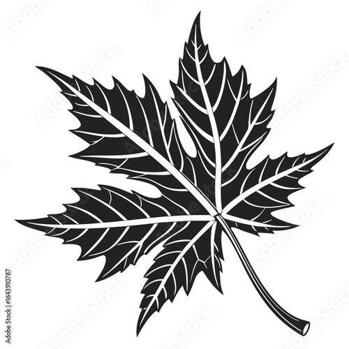 vector leaf silhouette