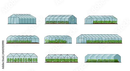Varied greenhouse designs featuring vegetables and plants
