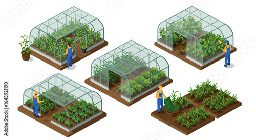 Isometric garden scenes: modern greenhouse farming and planting techniques