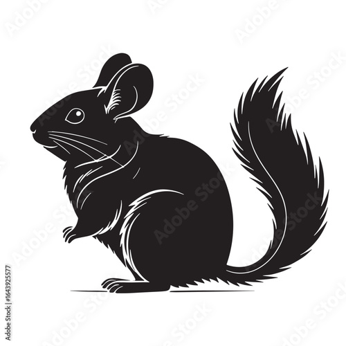 black chinchilla Silhouette Vector, High Quality Illustration on White Background