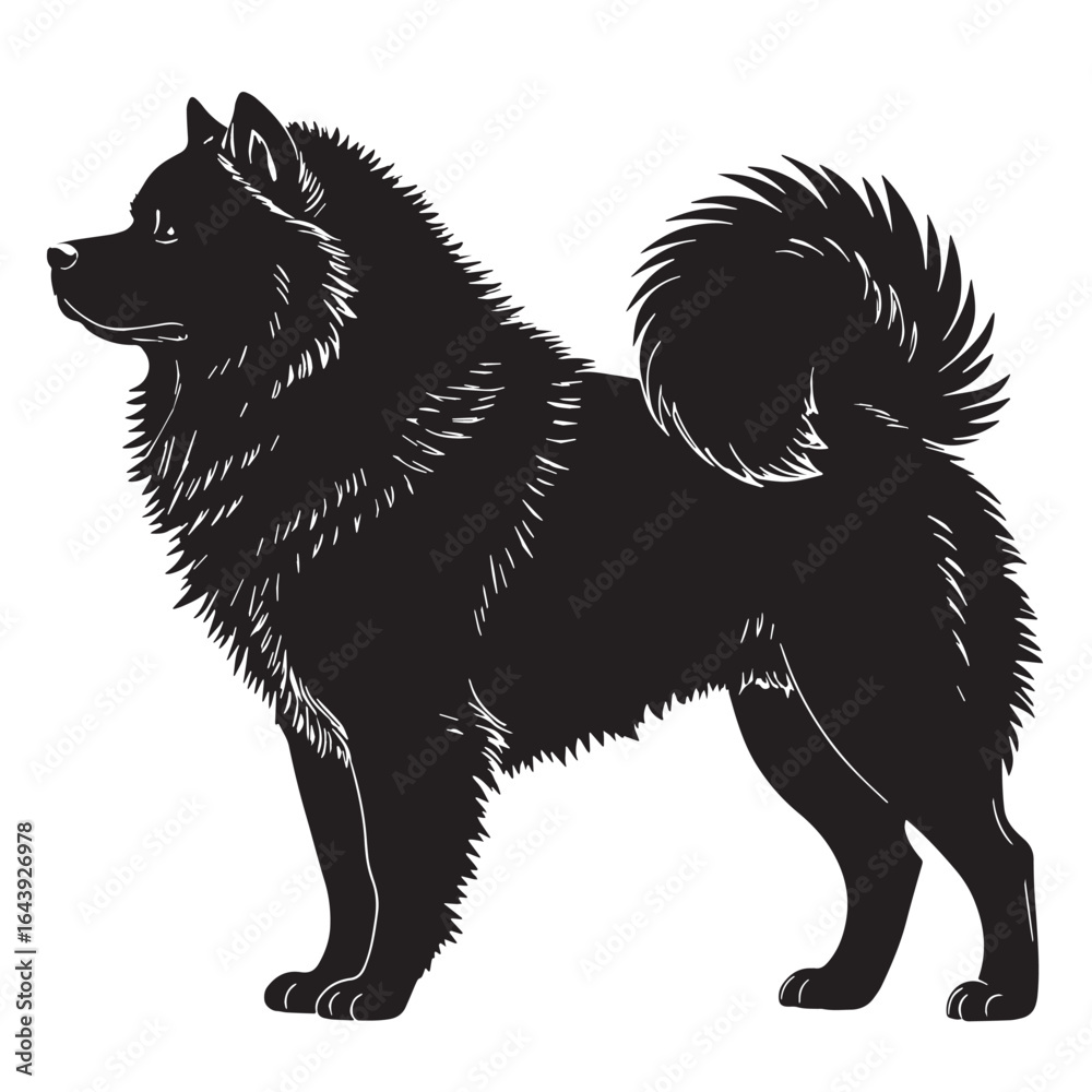 Fototapeta premium black chow chow Silhouette Vector, High Quality Illustration on White Background