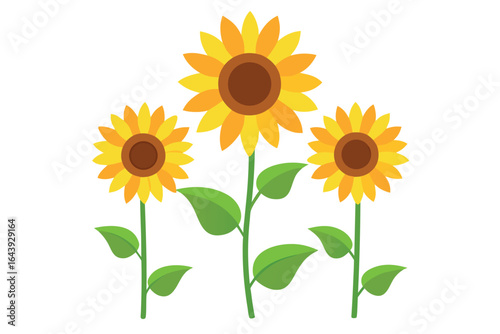 


   Blooming sunflowers vector illustration.
