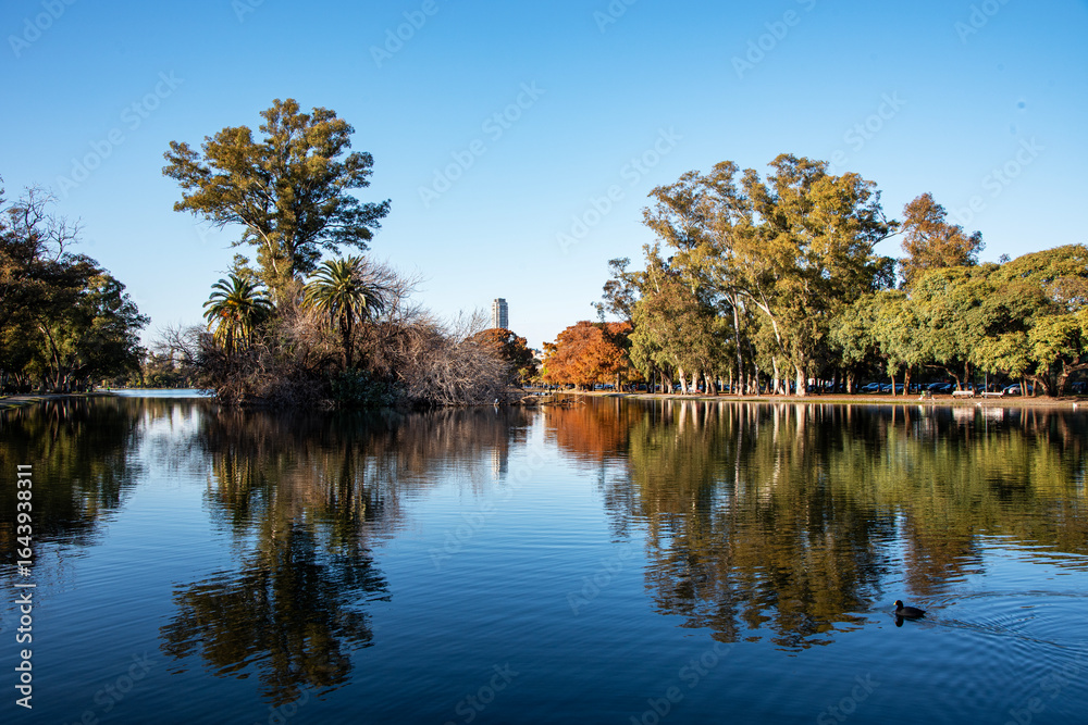 autumn in the park autumn in the park