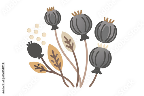 Dark poppy seed pods with golden leaves