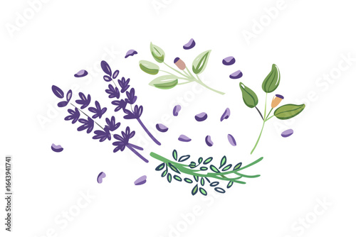 Curved lavender sprig with scattered petals illustration