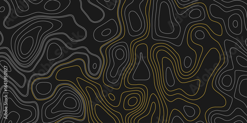 Topographic map contours stock illustration. Contour maps. Vector abstract topographic map concept with space for your copy. Wavy banners.. Vector illustration.