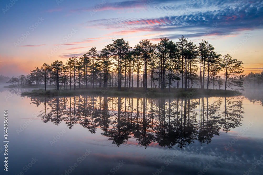 Obraz premium sunrise in the swamp