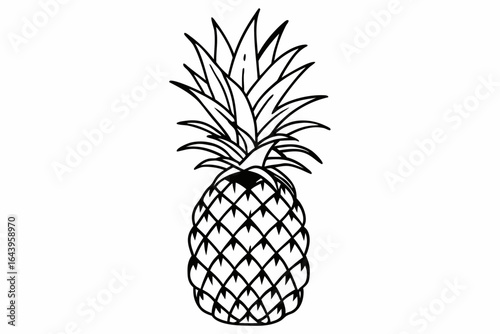 pineapple vector illustration