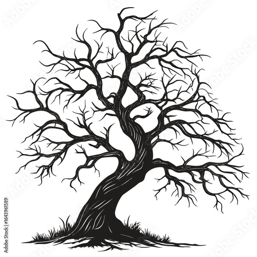 Silhouette of a bare tree with twisted branches isolated on white background, a symbol of autumn, halloween, and the beauty of nature