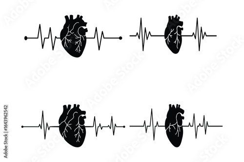 Heartbeat ECG Line with Anatomical Heart Silhouette – Vector Medical Set
