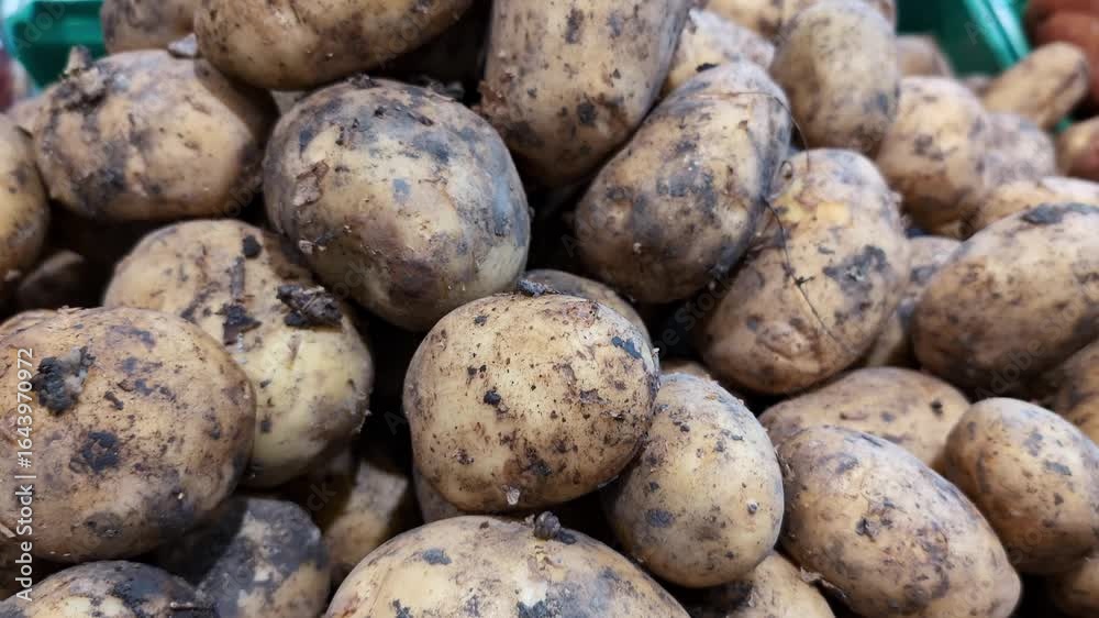 Fresh potato tubers on a farm market stall or in a supermarket Fresh potato tubers on a farm market stall or in a supermarket