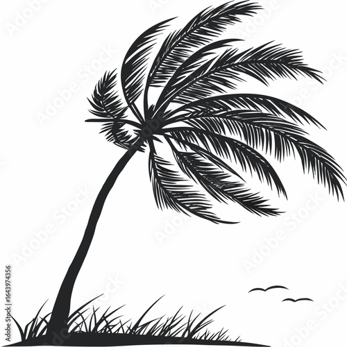 palm tree silhouette