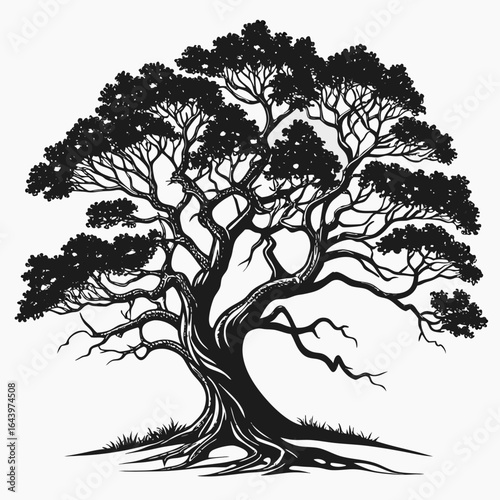 tree silhouette vector banyan