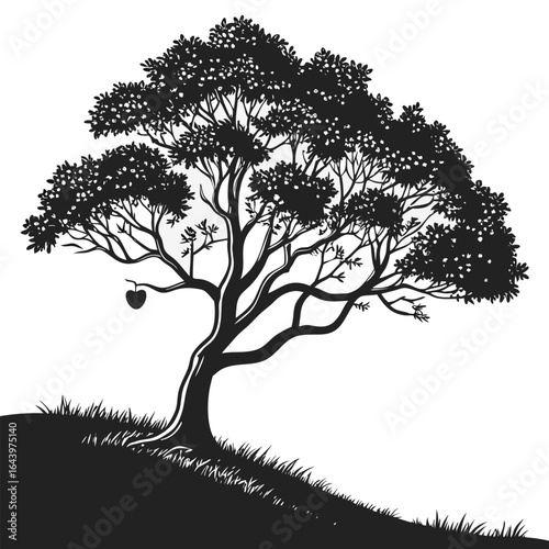 silhouette of a apple tree