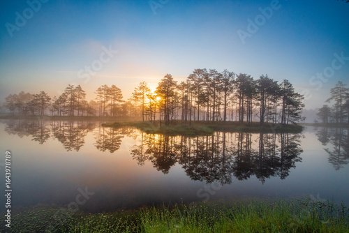 sunrise in the swamp