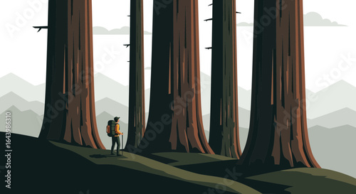 A lone hiker pauses amidst towering trees illustration in a serene forest setting