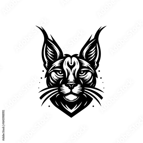 Caracal cat face illustration isolated on white background, showcasing its features