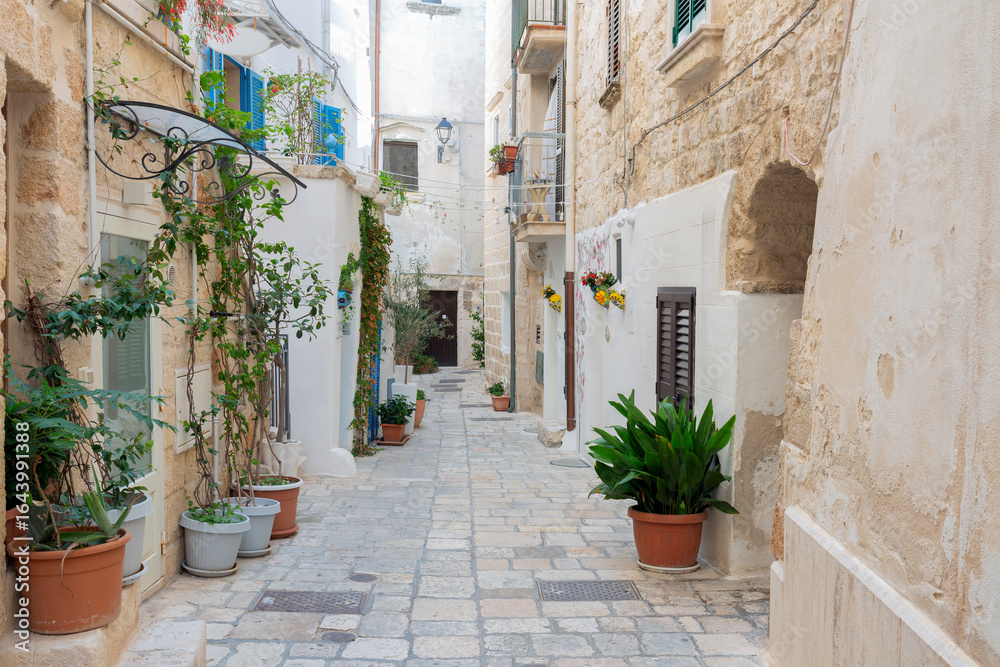 Fototapeta premium Cityscape of Polignano a Mare town, Puglia region, Italy, Europe. Seascape of Adriatic sea