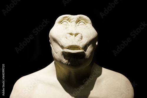 Bust of Paranthropus robustus