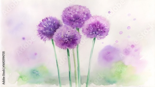 Watercolor painting of purple allium flowers isolated on white background