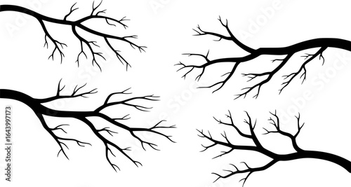 Black bare tree branches against white background vector