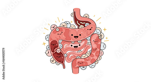 Happy intestines and friendly gut bacteria promoting digestive health