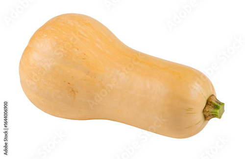 Fresh butternut squash isolated on white background for healthy cooking and nutritious recipes