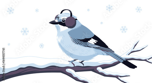 Blue jay perched on snowy branch wearing earmuffs in winter season scenery