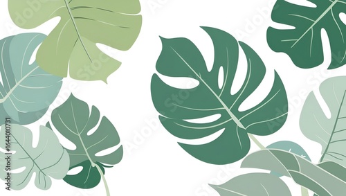 Minimalist Botanical Illustration of Large Monstera Leaf in Soft Green Tones on Light Background